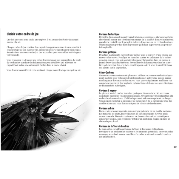 JDR solo - La voie du corbeau – Image 2