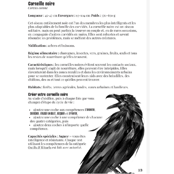 JDR solo - La voie du corbeau – Image 3