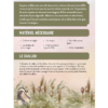 JDR à deux - Le Coyote et le Blaireau – Image 3