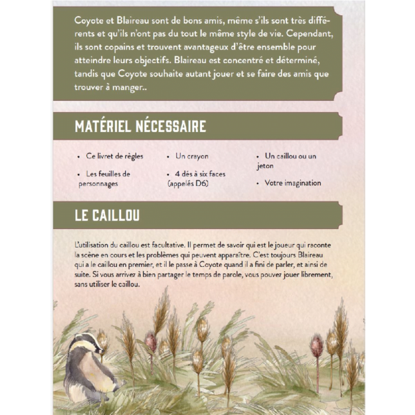 JDR à deux - Le Coyote et le Blaireau – Image 3